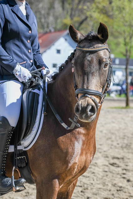 科尔赞斯潘塞：他的主教练终于意识到这小子真是个狠角色